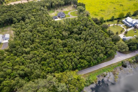 Land in Lake Helen, Florida № 1894813 - photo 11