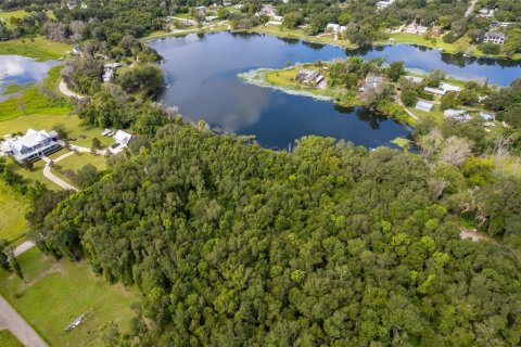 Land in Lake Helen, Florida № 1894813 - photo 8