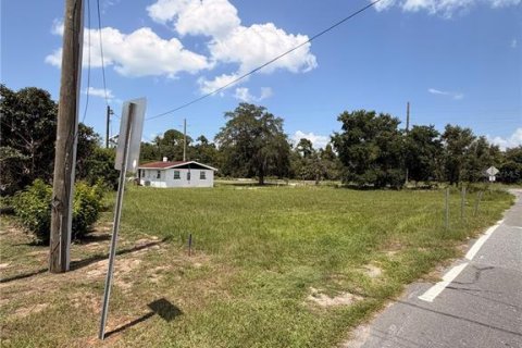 Terrain à vendre à Tavares, Floride № 2219351 - photo 3