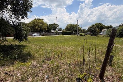 Terreno en Tavares, Florida № 2219351
