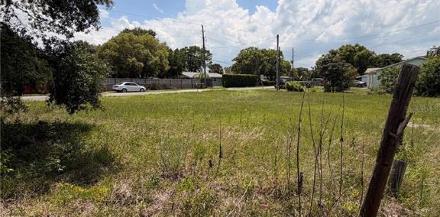 Terrain à Tavares, Floride № 2219351