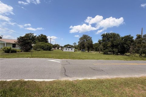 Terrain à vendre à Tavares, Floride № 2219351 - photo 2