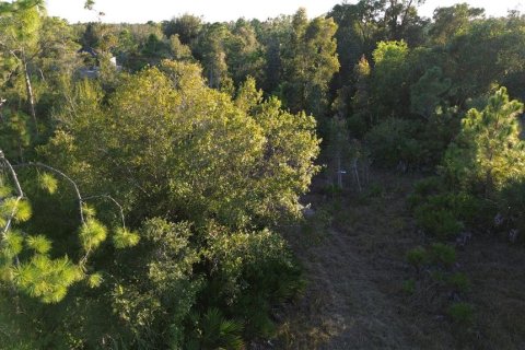 Terrain à vendre à Punta Gorda, Floride № 2201600 - photo 3