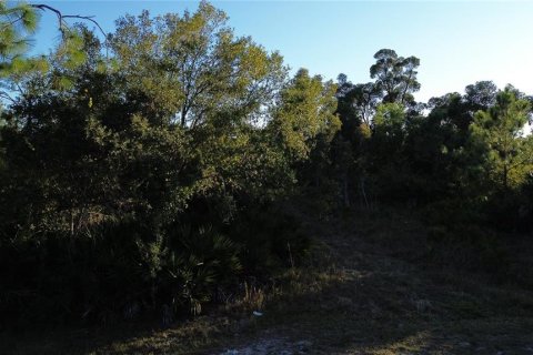 Terrain à vendre à Punta Gorda, Floride № 2201600 - photo 2