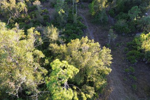 Terrain à vendre à Punta Gorda, Floride № 2201600 - photo 4