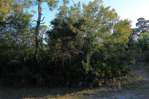 Terrain à Punta Gorda, Floride № 2201600