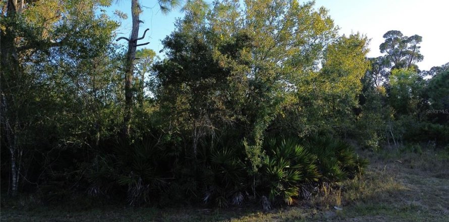 Terrain à Punta Gorda, Floride № 2201600