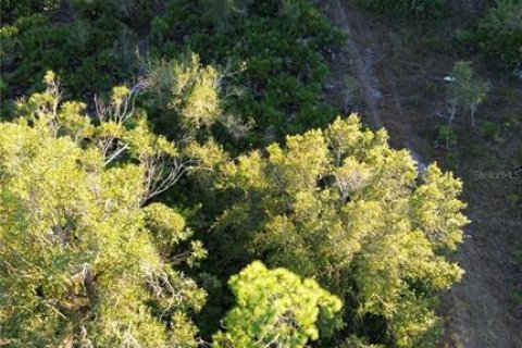 Terrain à vendre à Punta Gorda, Floride № 2201600 - photo 5