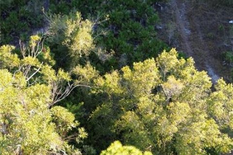 Terrain à vendre à Punta Gorda, Floride № 2201600 - photo 6
