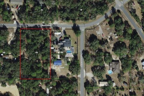 Land in Hernando, Florida № 1875783 - photo 2