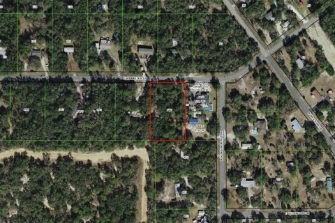 Land in Hernando, Florida № 1875783 - photo 3