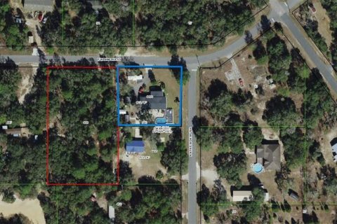 Land in Hernando, Florida № 1875783 - photo 1