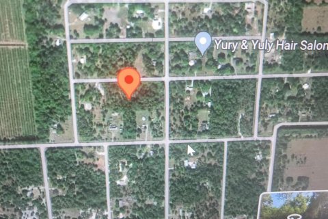 Land in Clewiston, Florida № 1207365 - photo 1