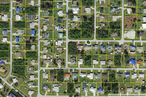 Land in Port Charlotte, Florida № 2205792
