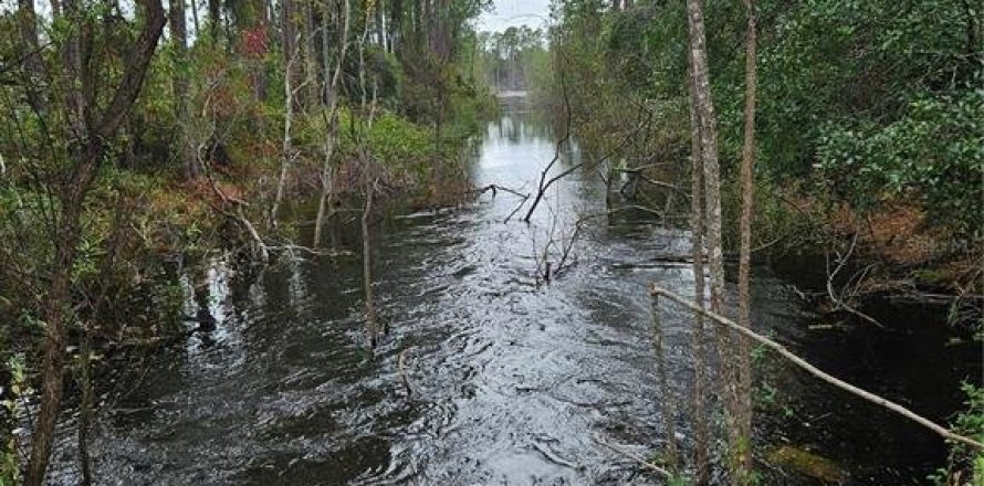 Terrain à Deltona, Floride № 1432315