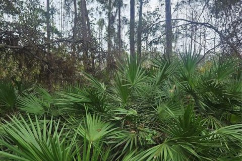 Terrain à vendre à Deltona, Floride № 1432315 - photo 6