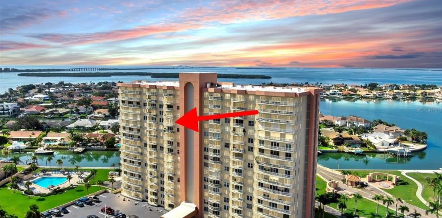 Condo in Saint Petersburg, Florida, 1 bedroom  № 1856726
