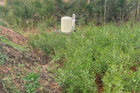 Land in Arcadia, Florida № 2094466 - photo 5