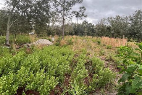 Land in Arcadia, Florida № 2094466 - photo 3