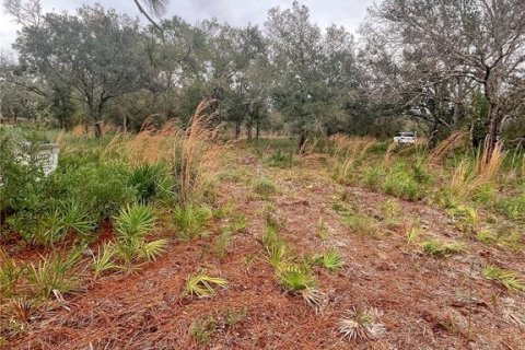 Land in Arcadia, Florida № 2094466 - photo 4