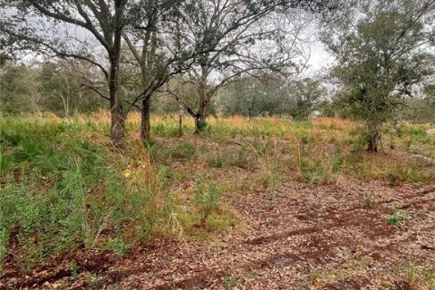 Land in Arcadia, Florida № 2094466 - photo 2