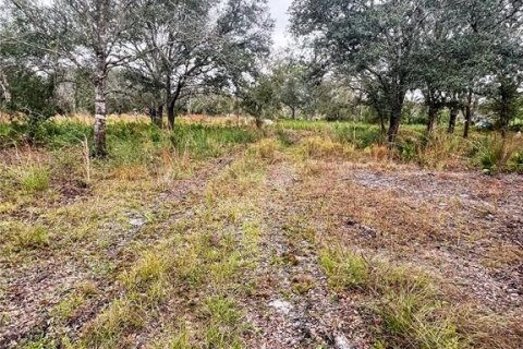 Land in Arcadia, Florida № 2094466