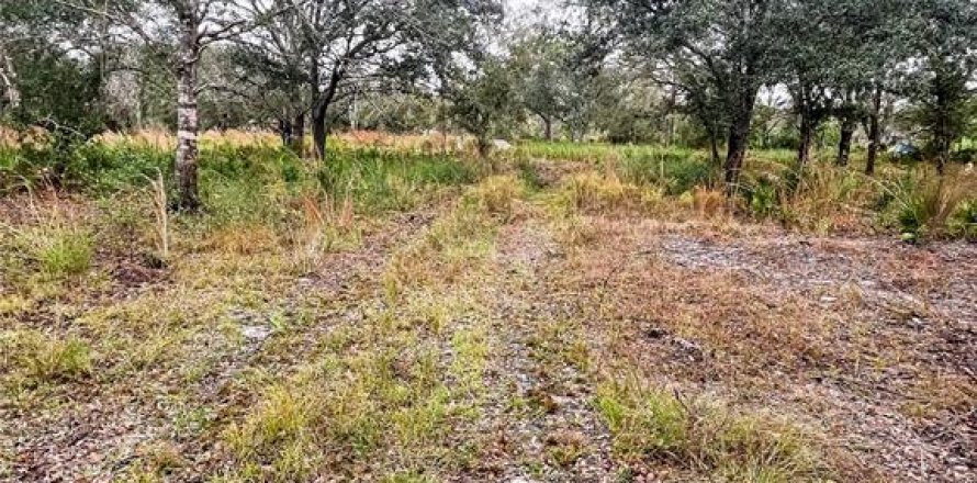Land in Arcadia, Florida № 2094466