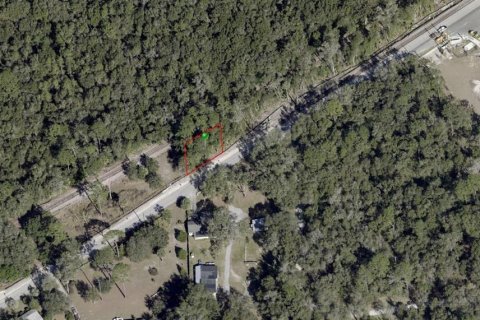 Land in DeLand, Florida № 2161535 - photo 2