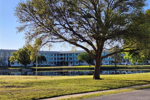 Condo in Saint Petersburg, Florida, 2 bedrooms  № 2144027