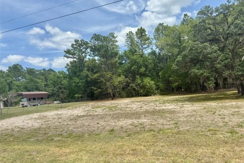 Terrain à vendre à Ocala, Floride № 2208715 - photo 3