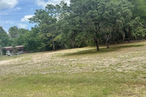 Terrain à vendre à Ocala, Floride № 2208715 - photo 4