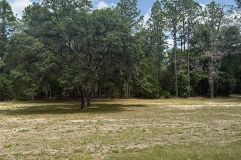 Terrain à vendre à Ocala, Floride № 2208715 - photo 2