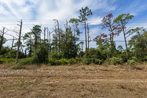 Land in Port Charlotte, Florida № 2219086