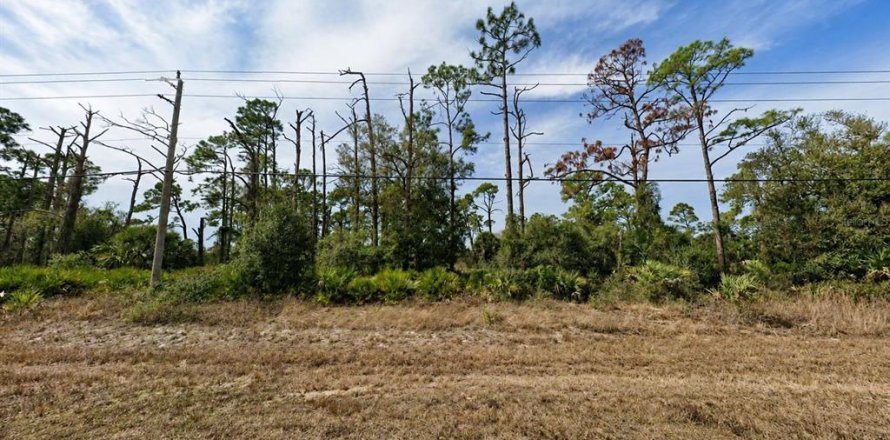 Land in Port Charlotte, Florida № 2219086