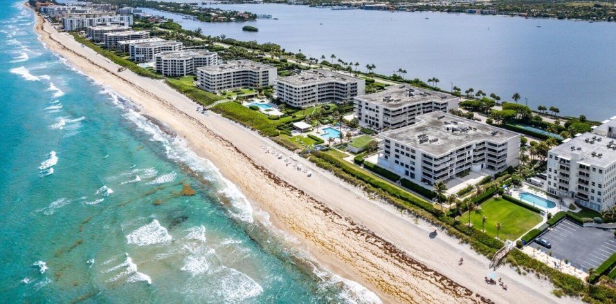 Condo à Palm Beach, Floride, 2 chambres № 1210586