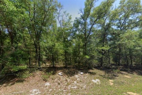 Terreno en Citrus Springs, Florida № 2196229