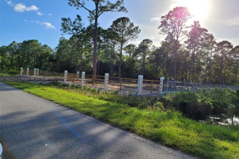 Terreno en venta en Clewiston, Florida № 1981690 - foto 7