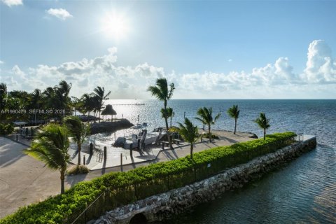 House in Islamorada, Village of Islands, Florida 6 bedrooms, 562.43 sq.m. № 2057817 - photo 8