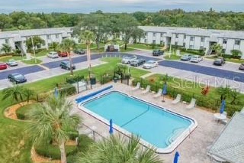 Condo in Oldsmar, Florida, 2 bedrooms  № 2234930 - photo 24