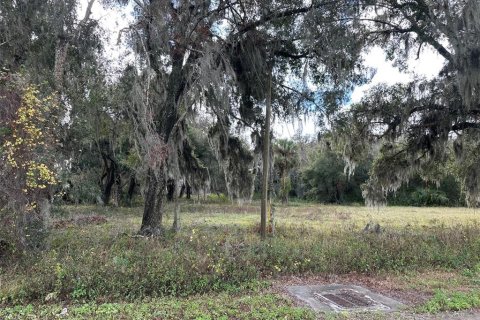 Land in Osteen, Florida № 1534955 - photo 1