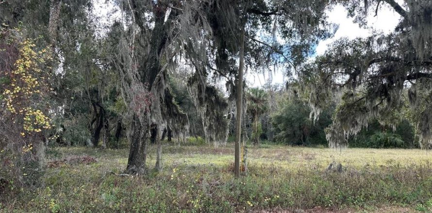 Land in Osteen, Florida № 1534955