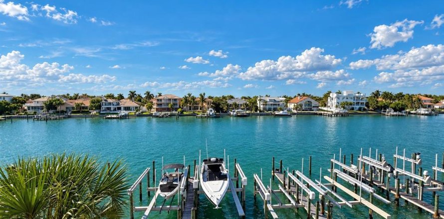 Condo à Tierra Verde, Floride, 3 chambres  № 2437185