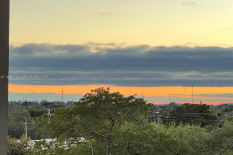 Copropriété à louer à Hollywood, Floride: 1 chambre, 63.92 m2 № 1999539 - photo 19