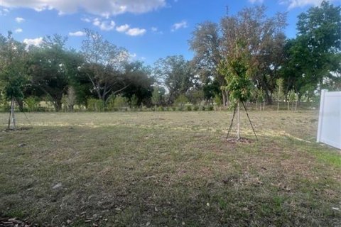House in Minneola, Florida 4 bedrooms, 249.72 sq.m. № 1613104 - photo 23