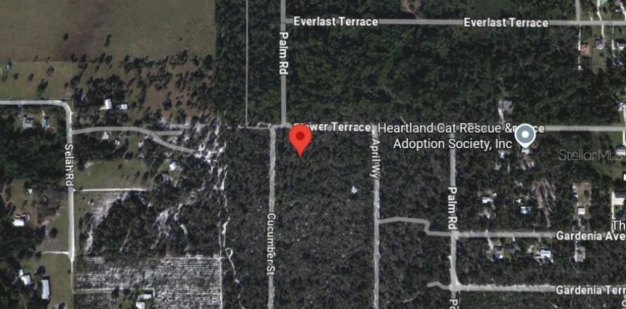 Land in Sebring, Florida № 2162328