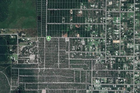 Land in Sebring, Florida № 2162328 - photo 2