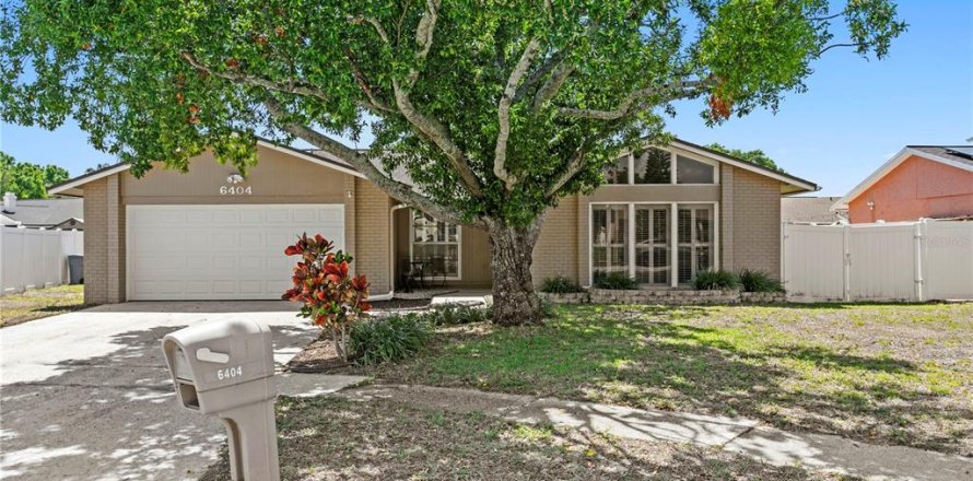 House in Tampa, Florida 3 bedrooms, 142.42 sq.m. № 2142443