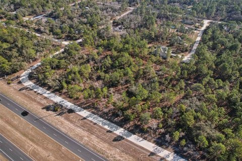 Land in Weeki Wachee, Florida № 2235062 - photo 9
