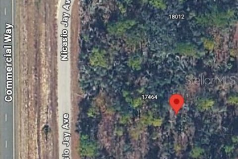 Land in Weeki Wachee, Florida № 2235062 - photo 7