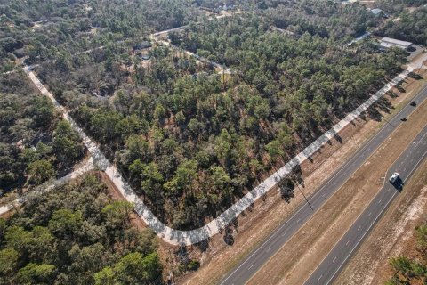 Land in Weeki Wachee, Florida № 2235062 - photo 14
